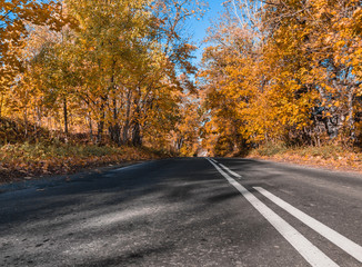 The sun, fall, wood, road and the house.