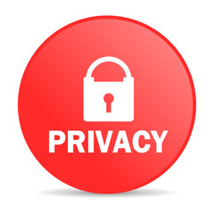 privacy web icon
