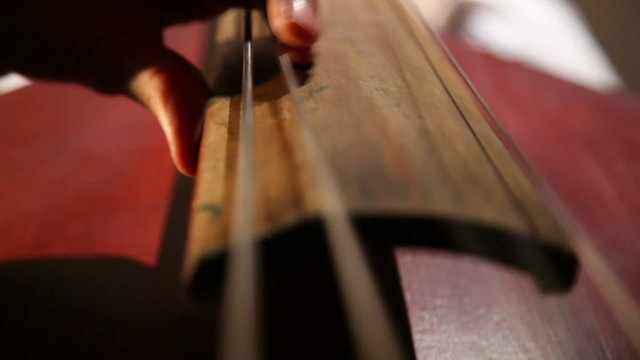 woman playing the contrabass  4