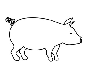 Animal design