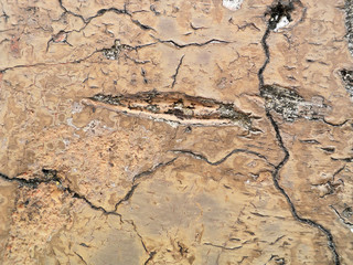 cement cracked background