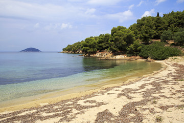 Wild sandy beach in the bay of the Aegean Sea.