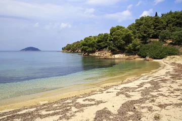 Foto op Canvas Wild sandy beach in the bay of the Aegean Sea. © Julia Mashkova