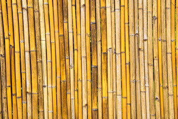 bamboo fence background