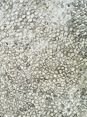 Picture Background is Texture of Pathway made from White Rock