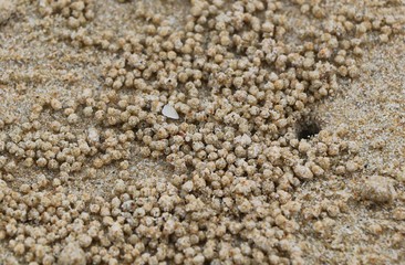 Sand and Stone Wallpaper on the beach