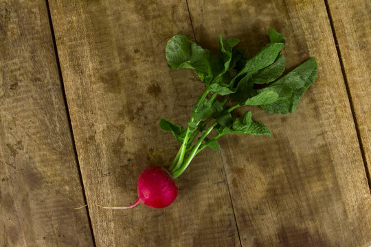 Fresh radish on wooden table