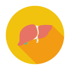 Liver icon.