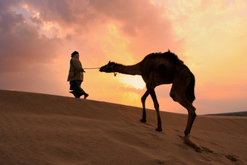 Silhouetted bedouin walking with his camel at sunset, Thar deser