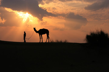 Fototapeta na wymiar Silhouetted person with a camel at sunset, Thar desert near Jais