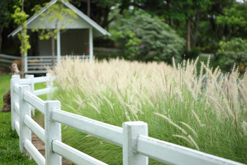 Fototapeta premium meadow with white fence