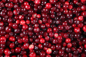 Cranberry