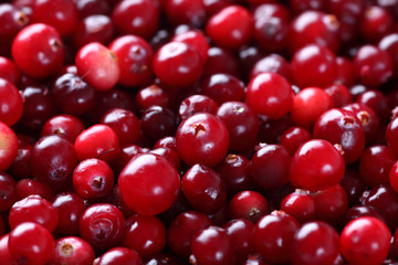 Cranberry