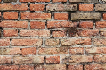 The brick wall