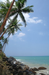 wild beach on Sri lanka coast