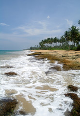 wild beach on Sri lanka coast