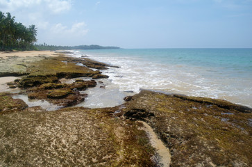 wild beach on Sri lanka coast