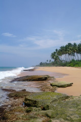 wild beach on Sri lanka coast