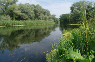 river, land with trees and cloudy sky