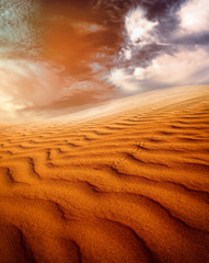 Naklejka na ściany i meble Sunset over the Sahara Desert