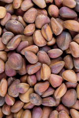 Obraz premium pine nuts background
