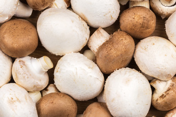 Fototapeta na wymiar white and brown mushrooms on the table
