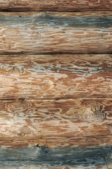 Naklejka na ściany i meble Wooden logs