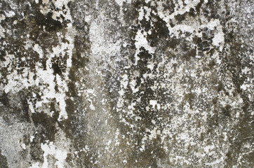 cement textures