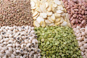 Lentils, fava beans, beans, peas, chickpeas