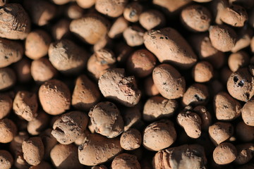background clayite