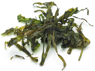 Kelp © rdnzl