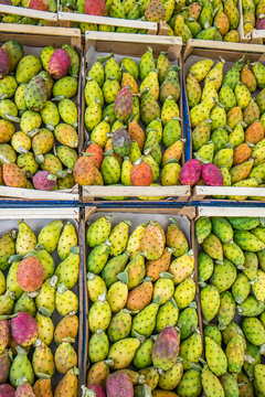 Kaktusfrucht Kaktusfeige auf dem sizilianischer Obstmarkt vertikal 