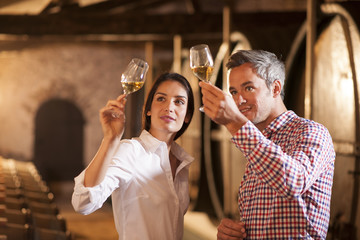 Couple tasting a glass of white wine in a traditional cellar sur - obrazy, fototapety, plakaty