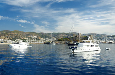 Fototapeta premium Blue Sea