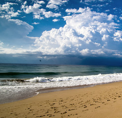 tropical sea under the blue sky
