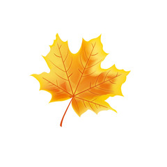 Orange maple leaf