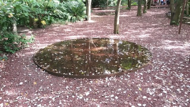 Jardim Gulbenkian