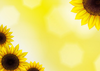 Sunflowers vector background for image and text - 71319306