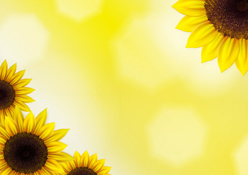Sunflowers vector background for image and text