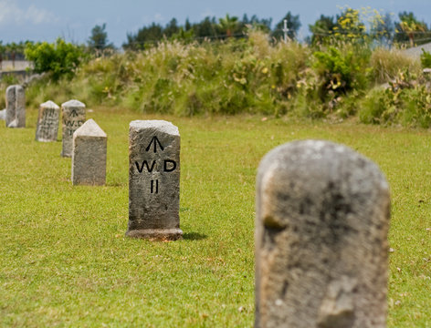 A row of stone, nautical mile markers against green grass