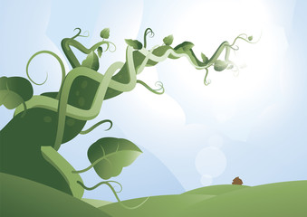 beanstalk 2 © stuart