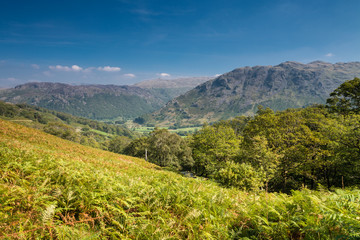 Fototapeta premium Borrowdale