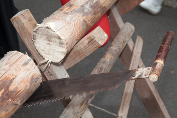 Hochzeit Baumstamm sägen Nahaufnahme