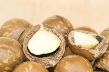 Macadamia nuts