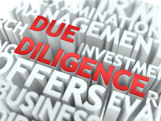 Due Diligence - Wordcloud Concept.