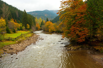 Autumn landscape