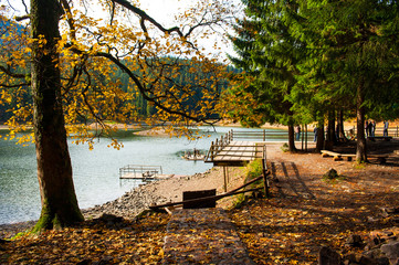 Autumn landscape