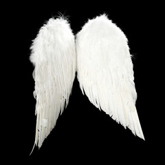 wings