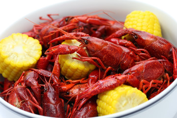 boiled crawfish clayfish party