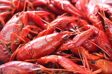 boiled crawfish clayfish party